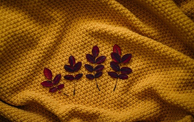 What are the types of knitted fabrics(2)